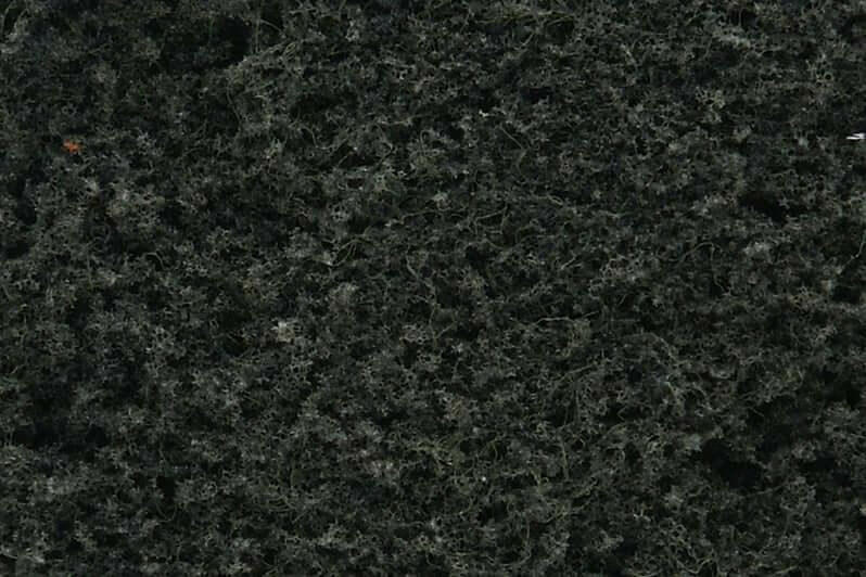 dark green conifer foliage