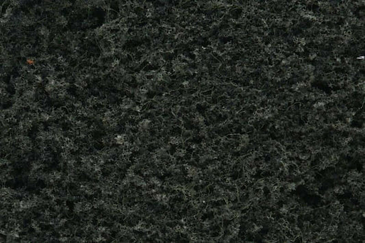 dark green conifer foliage