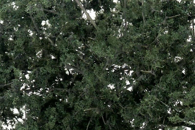 dark green fine leaf foliage wargaming scenery