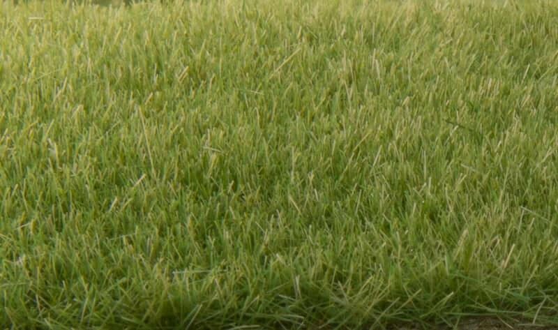 Woodland Scenics Medium Green 4mm Static Grass